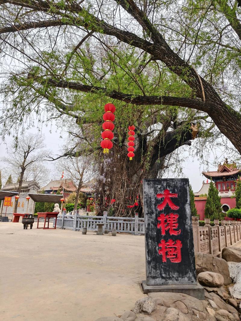 山西洪桐大槐树为何是寻根祭祖圣地?-图3 山西洪桐大槐树为何是寻根祭祖圣地?-图3