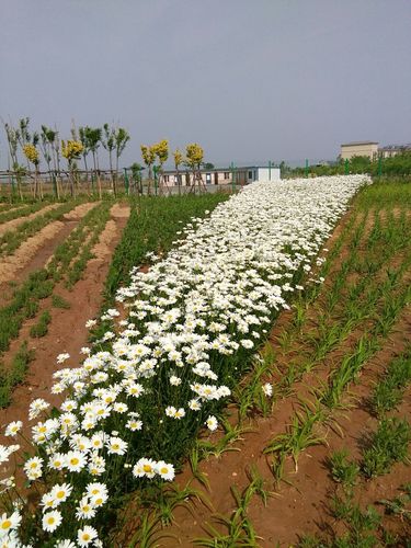 乐亭到唐山西站最晚班车是几点？-图2