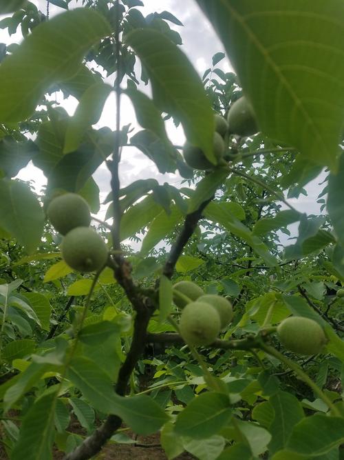 山西运城绛县邮编是多少？-图2