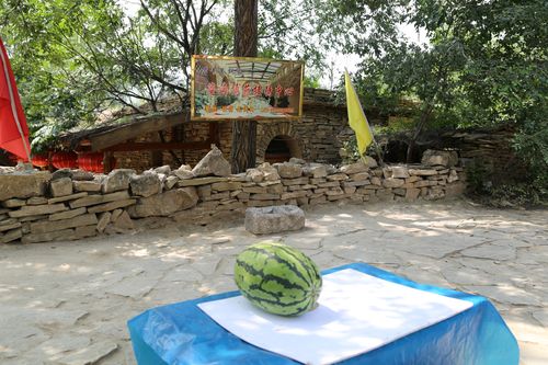 山西偏关老牛湾农家乐有何特色？-图3