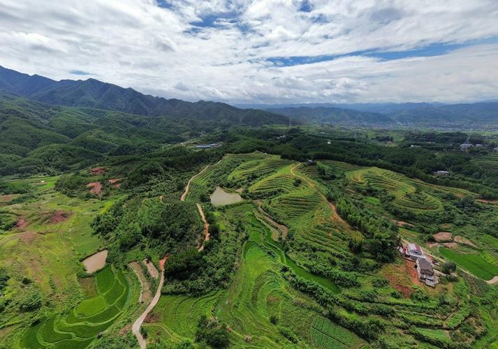 林地投资有哪些潜力方向？-图1