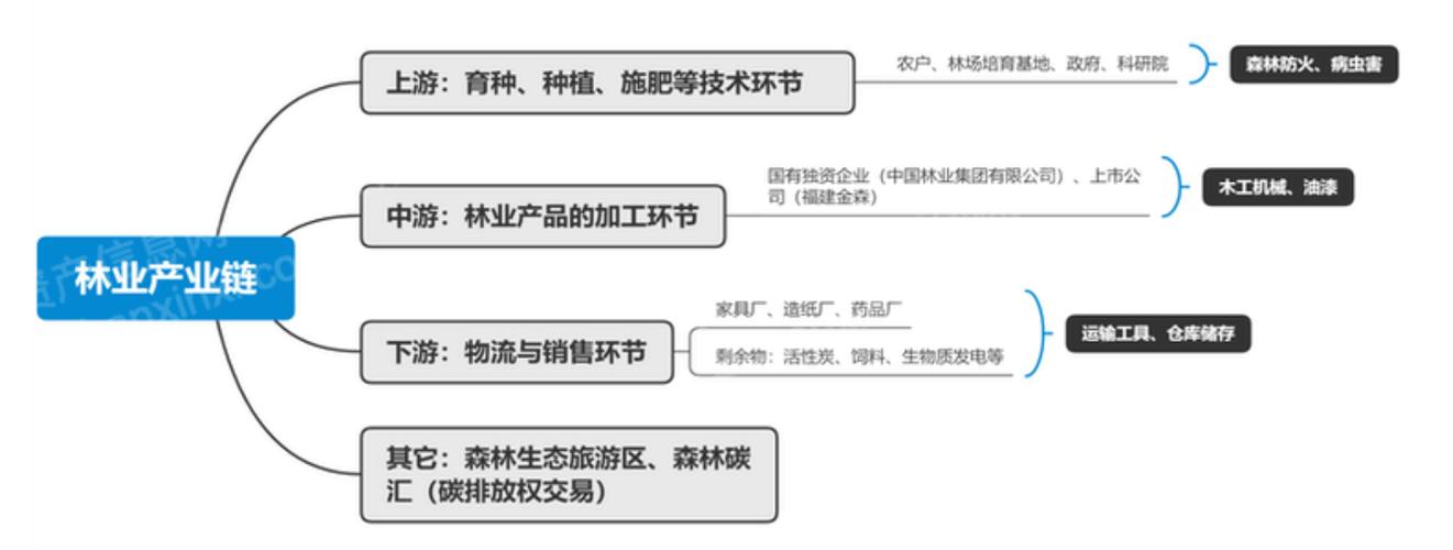 林地投资有哪些潜力方向？-图2