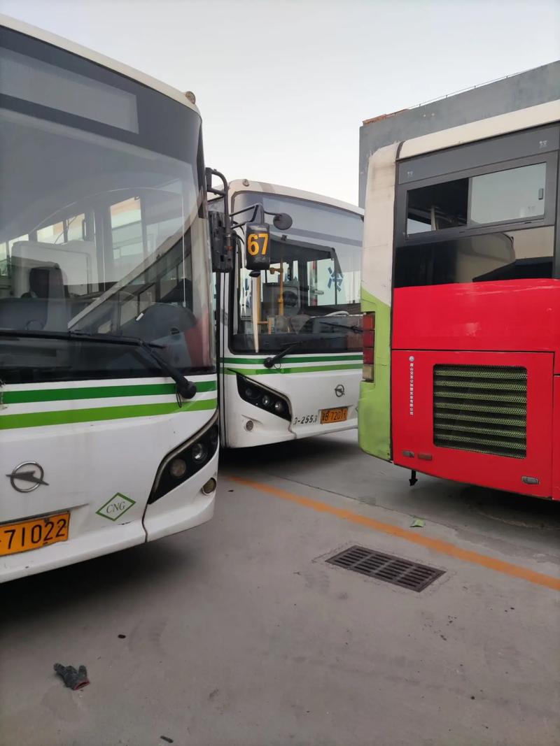 唐山西站到乐亭班车怎么坐？-图2