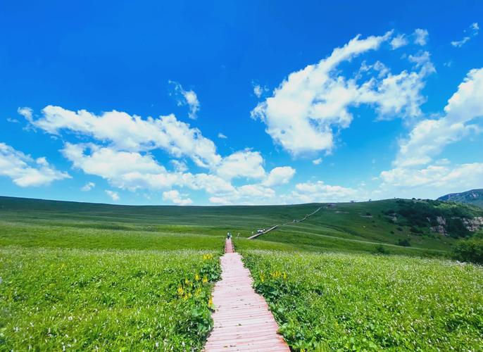 山西历山舜王坪好玩吗？-图2