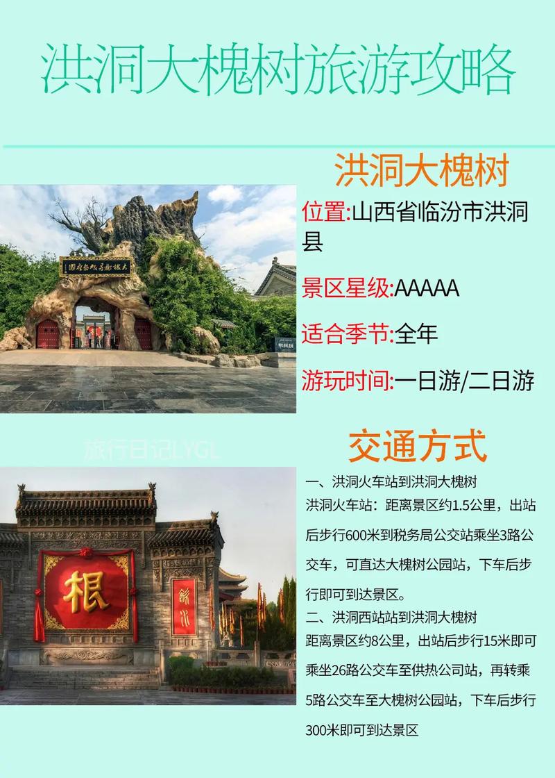 山西红洞县大槐树门票多少钱?-图1 山西红洞县大槐树门票多少钱?-图1