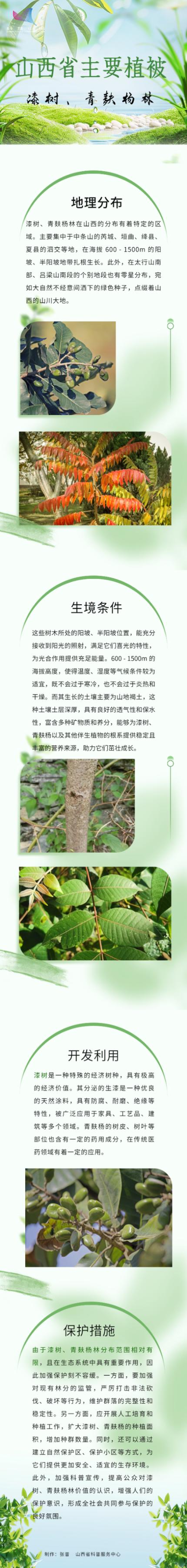 2025山西林业有何新动向？-图3