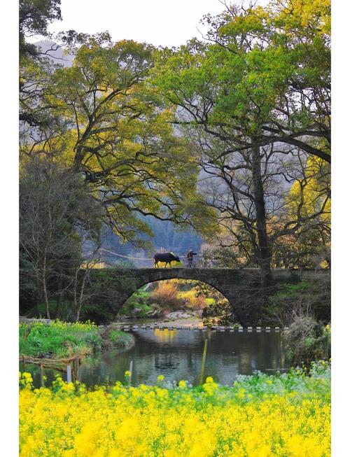 山西婺源有哪些必游景点？-图2