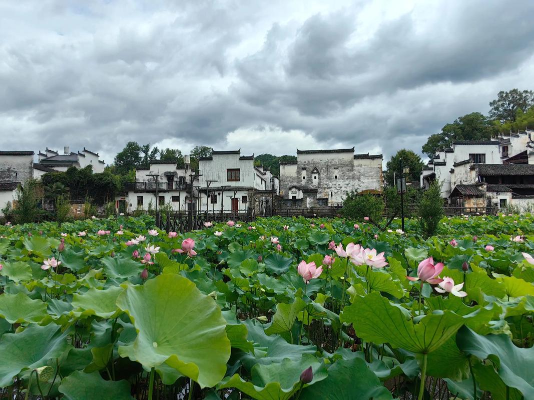 山西婺源有哪些必游景点？-图3