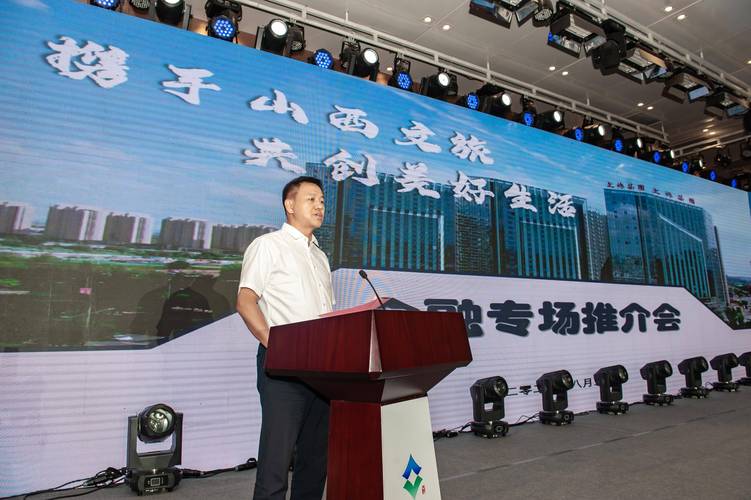 山西省旅游局局长王琳-图1 山西省旅游局局长王琳-图1