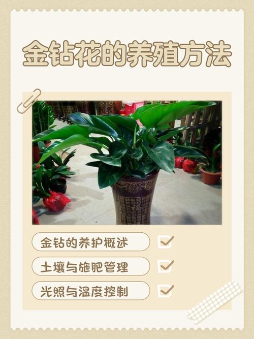 种什么投资少能见效快？-图1