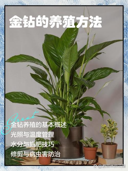 种什么投资少能见效快？-图2