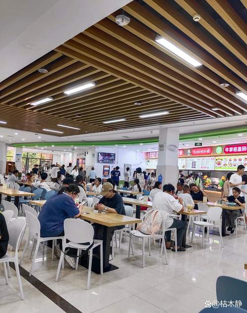 山西大学商务学院餐厅菜品如何？-图1