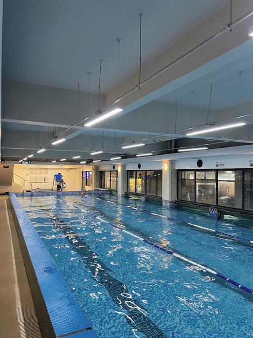 平顶山西体育场游泳馆开放时间是什么？-图2