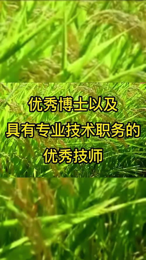 山西优秀博士引进政策有何亮点？-图3