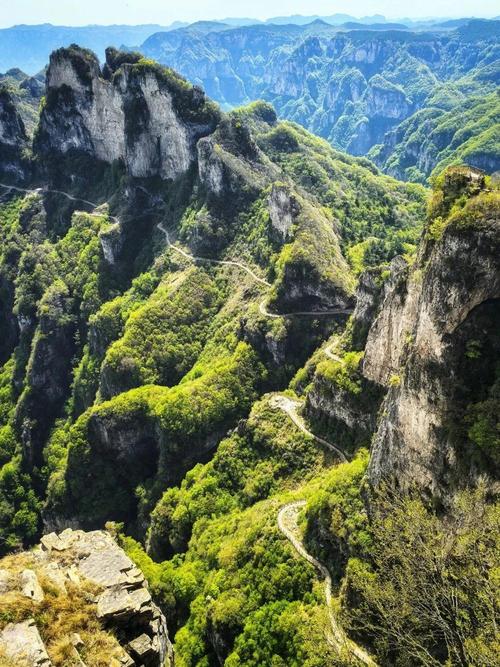 王莽岭景区究竟好不好玩？-图1