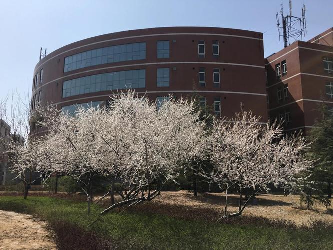 山西大学商务学院图片有什么特色？-图2