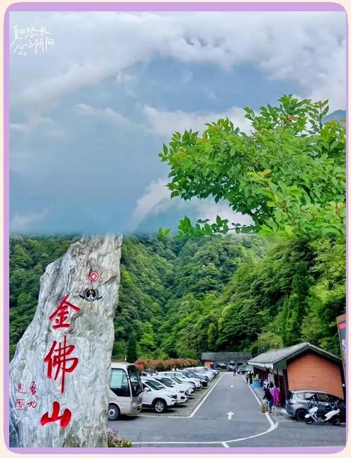 金佛山西坡与北坡,哪个更值得一去?-图3 金佛山西坡与北坡,哪个更值得一去?-图3