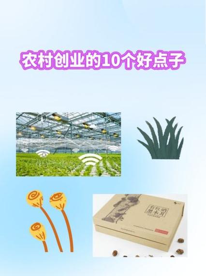 明年投资热门创业点子有哪些方向？-图3