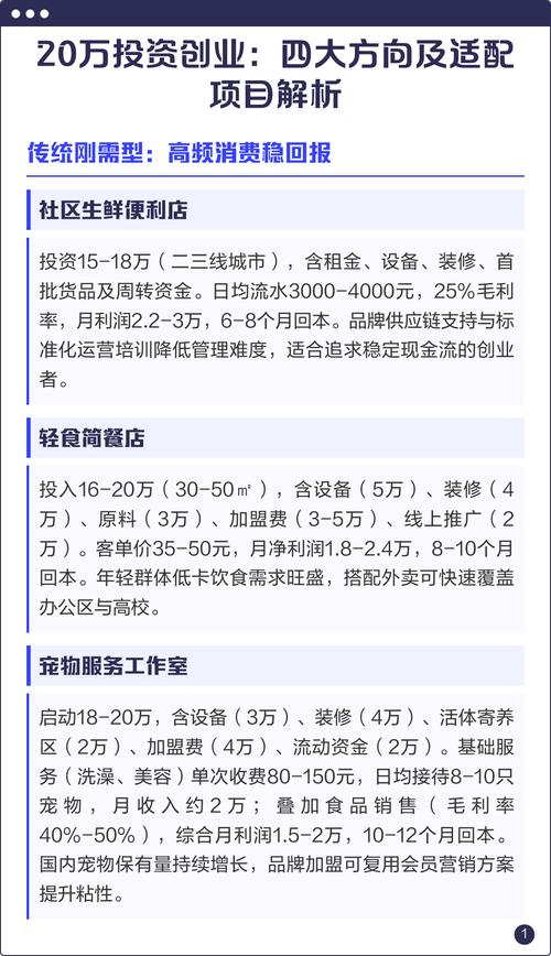 20万以内投什么项目靠谱?-图1 20万以内投什么项目靠谱?-图1