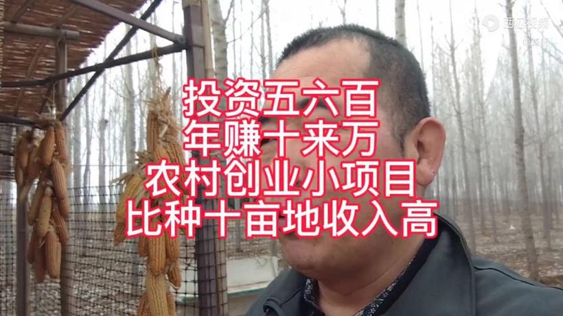 现在投资什么项目能快速致富？-图1