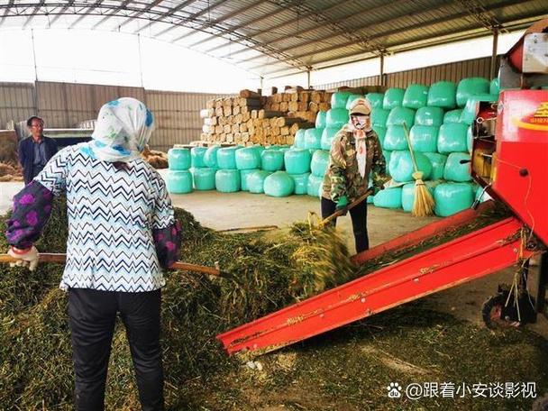 农村小本加盟项目有哪些靠谱选择？-图2