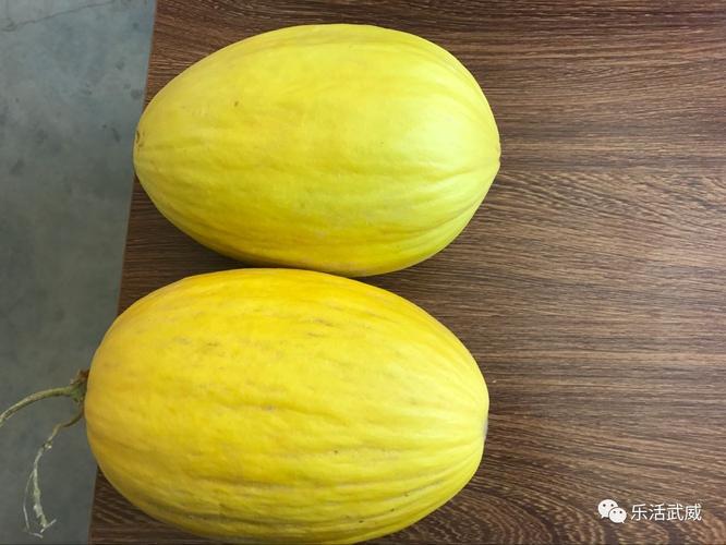 夏天投资致富有哪些方向？-图3