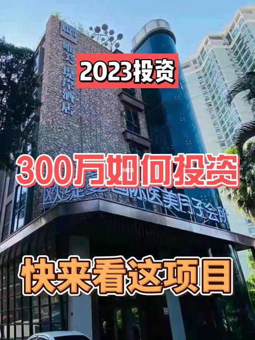 300万投资项目加盟，如何确保回报？-图1