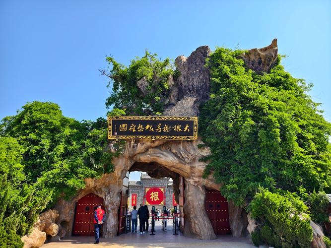 山西洪洞县大槐树图片-图3