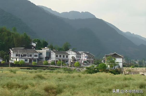 农村投资啥项目靠谱？-图3