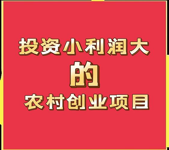投资来年小本致富加盟-图1