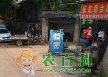 无本投资真能致富？项目靠谱吗？-图2